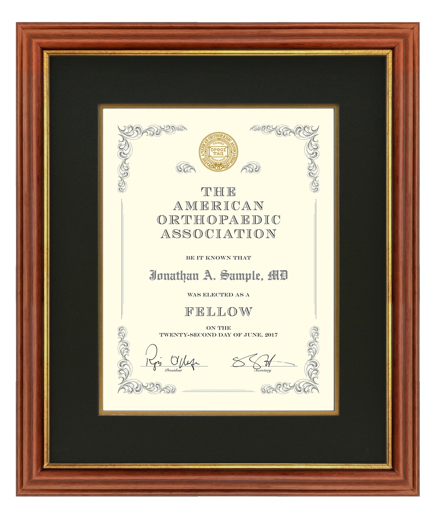 The Artisan (Walnut) CWF-18WG